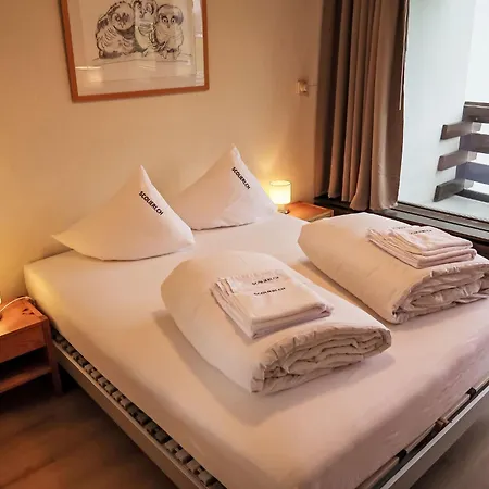 B 068 By Interhome Daire